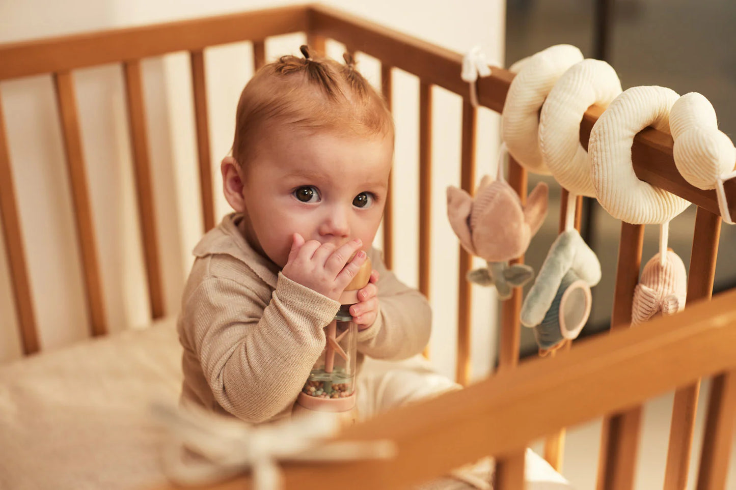 Wooden Rain Rattle Lovely Birds