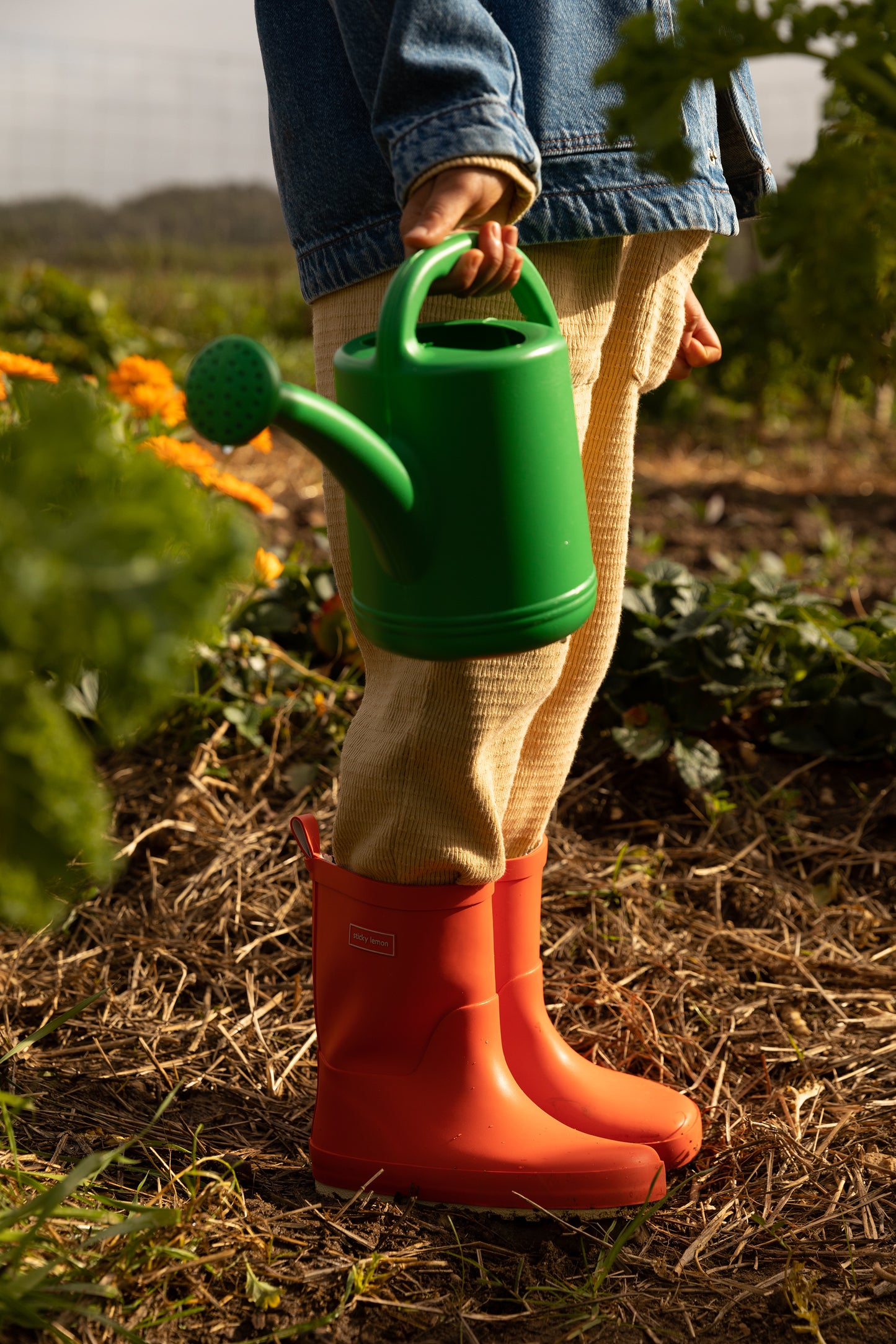 Rain Boots • Farmhouse • Ladybird Red