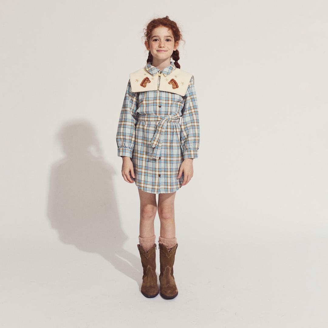 Mildred Long Sleeve Shirt Dress with Detachable Collar