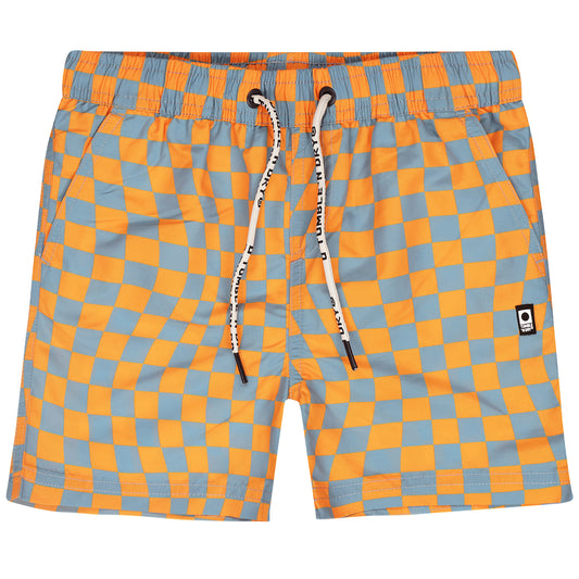 Vivario Swim Shorts