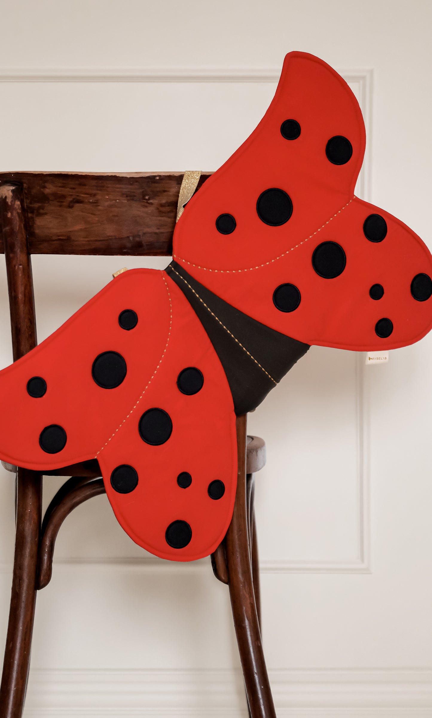 Dress-up Wings - Ladybug