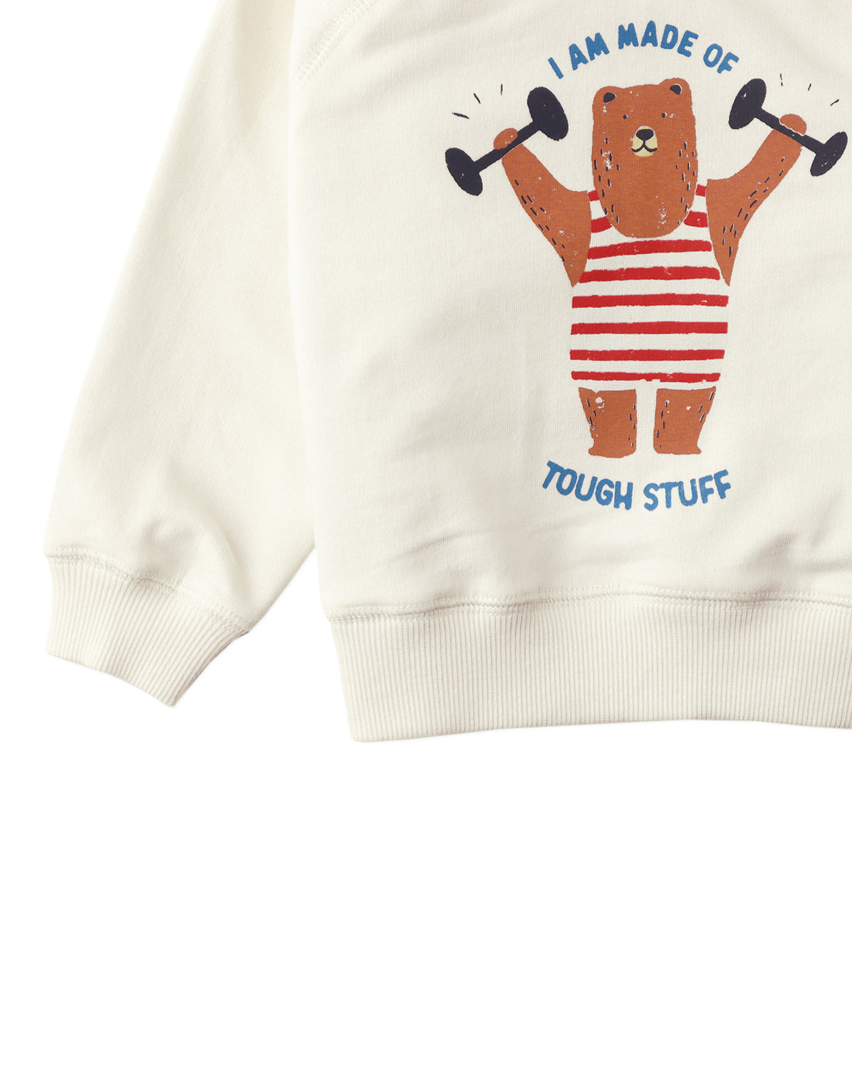 Baby Boys Jayce Raglan Pullover With Crayon-Style Muscle Bear Print