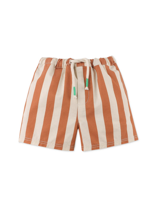 Baby Boys Mini Cody Shorts In Stripes Print