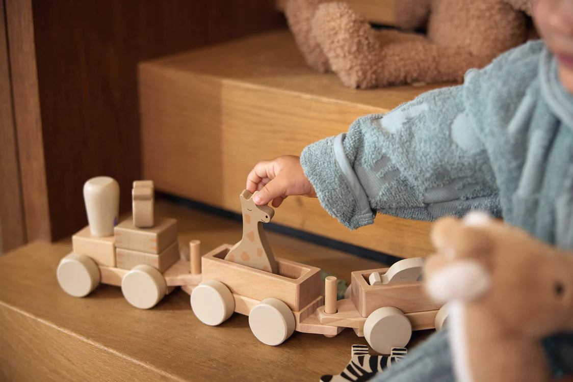 Wooden Toy Train