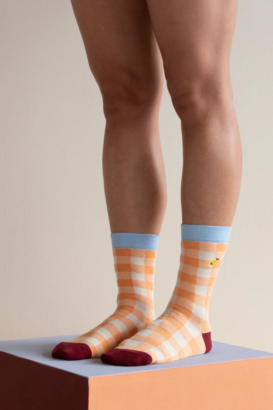 Socks | gingham berry swirl