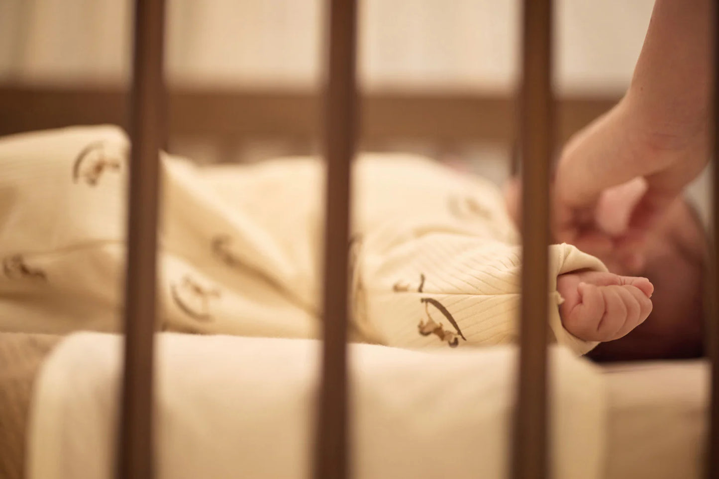 Sleeping Bag with Removable Sleeves Nostalgic Ride