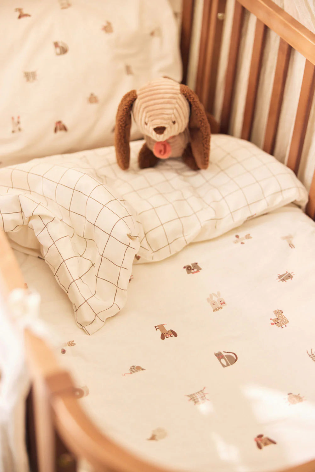 Stuffed Animal Diego Dog