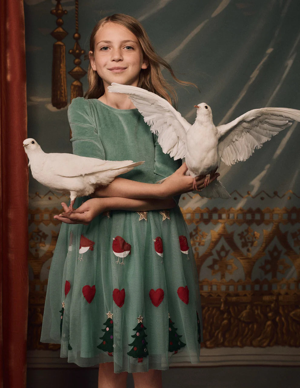 Velour Tulle Appliqué Dress-Robin Motif