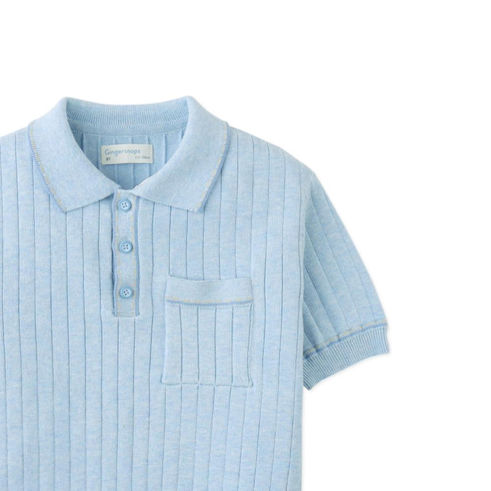 Reiner Polo Shirt with Striped Tipping Accents