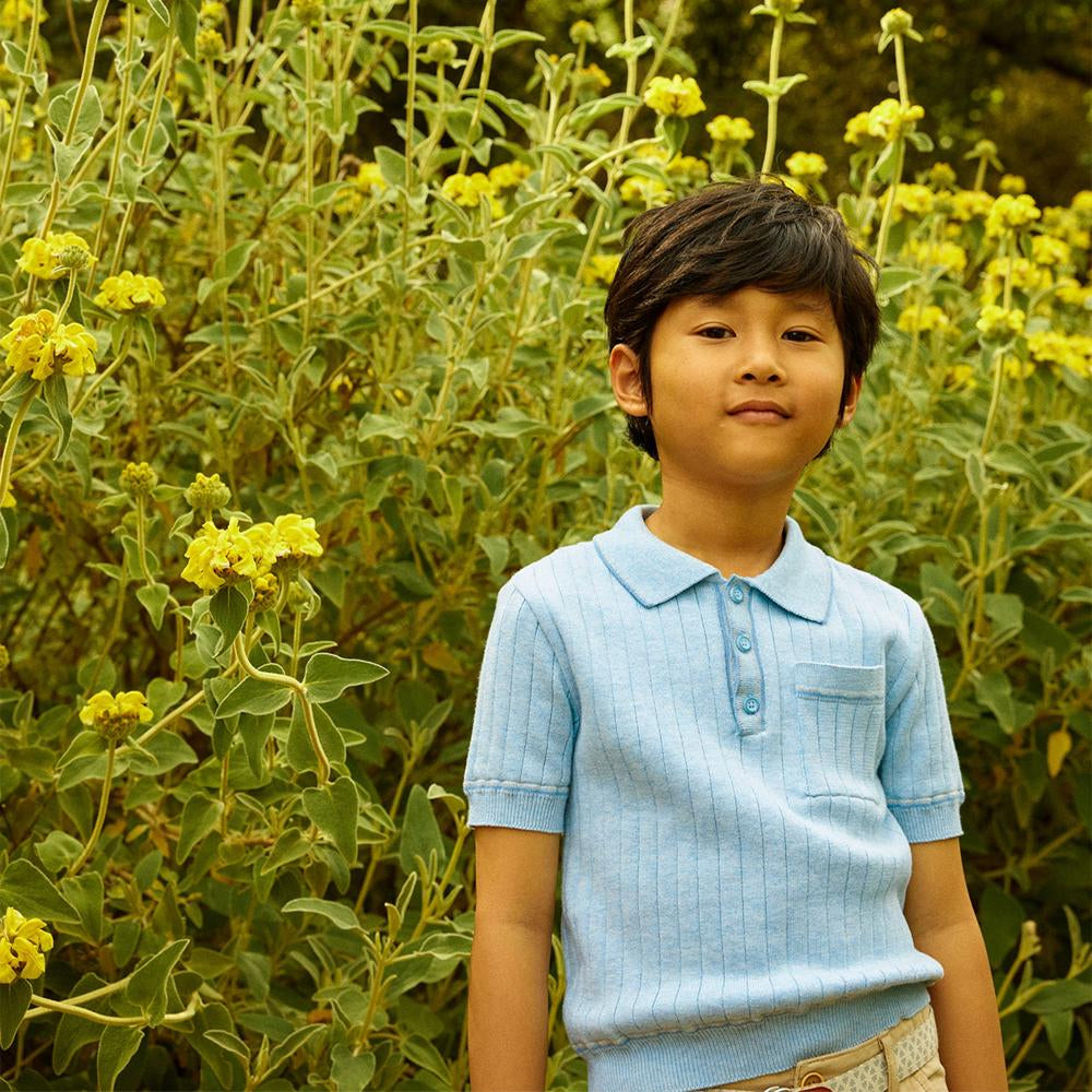 Reiner Polo Shirt with Striped Tipping Accents