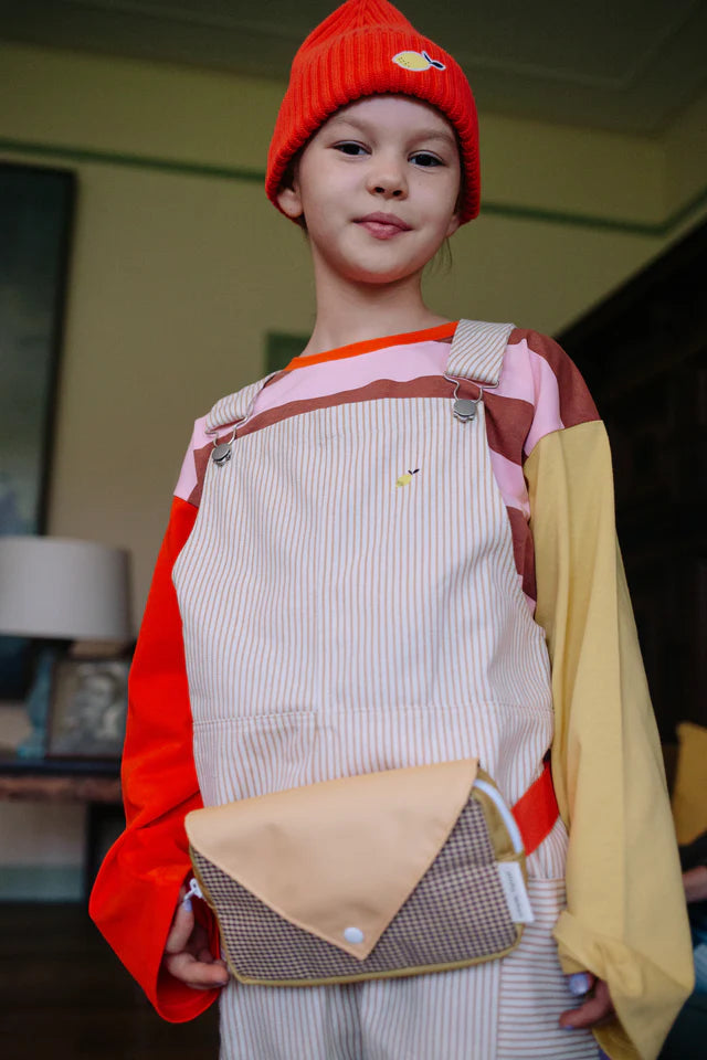 fanny pack small | lemon tree | envelope | apple juice