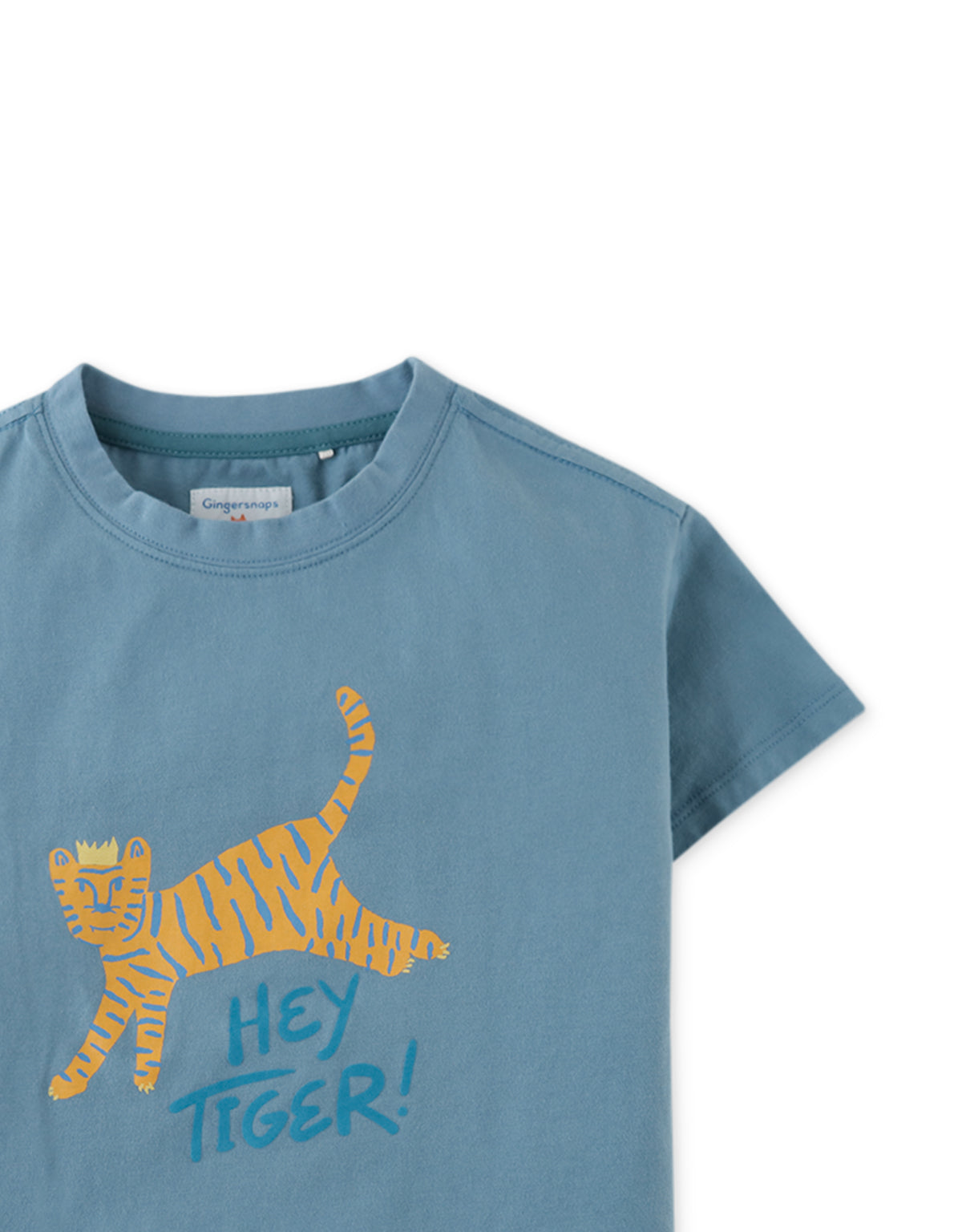 Boys Tiger Print Tshirt