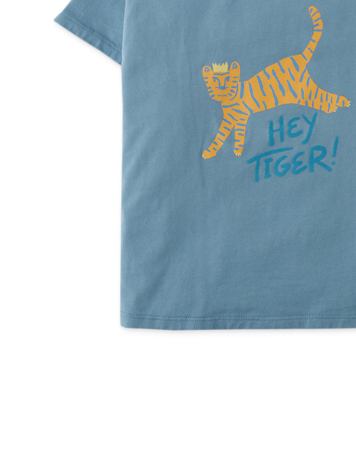 Boys Tiger Print Tshirt