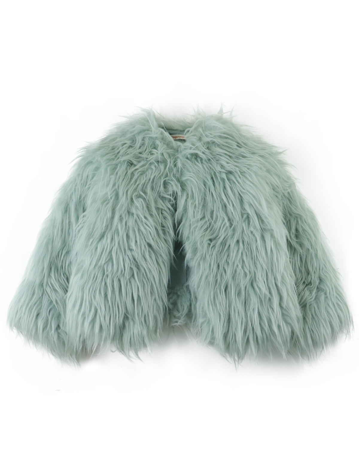 Long Sleeves Fur Jacket